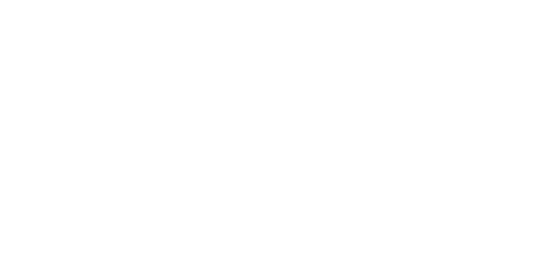 Memorable DMC